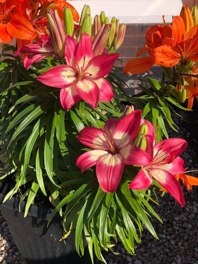Edendale House Bed & Breakfast Southport Bagian luar foto